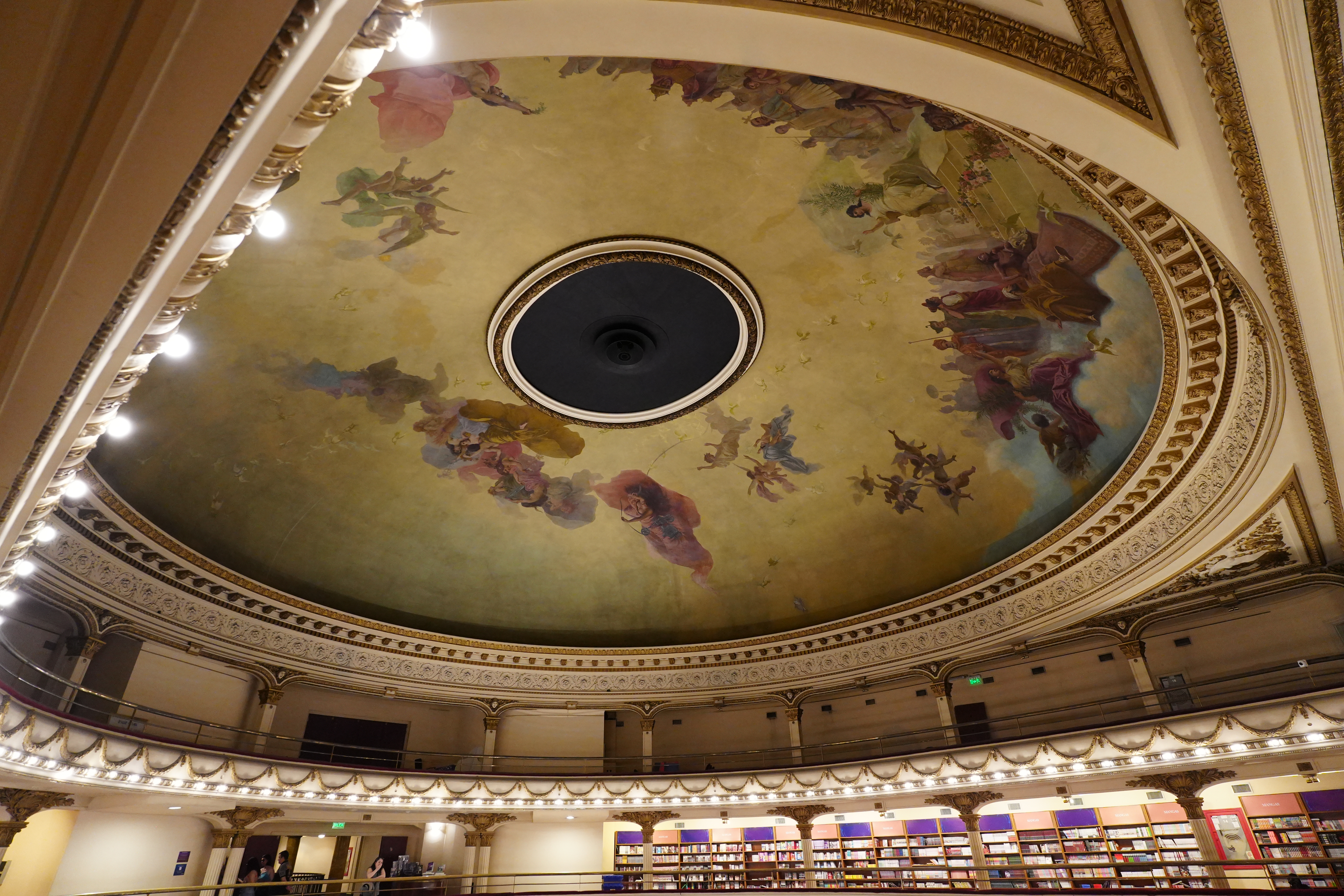 Painted ceiling dome with chandelier base and bookshelves below.	